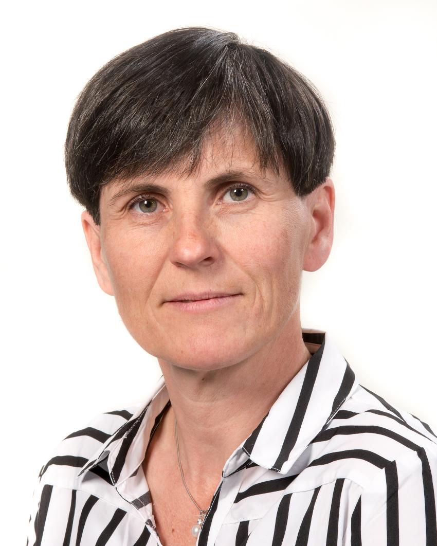 Bilde av Vestg&oslash;te, Ellen