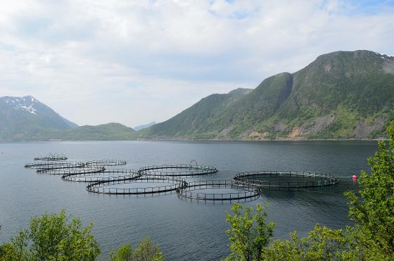 Fjord og m&aelig;re