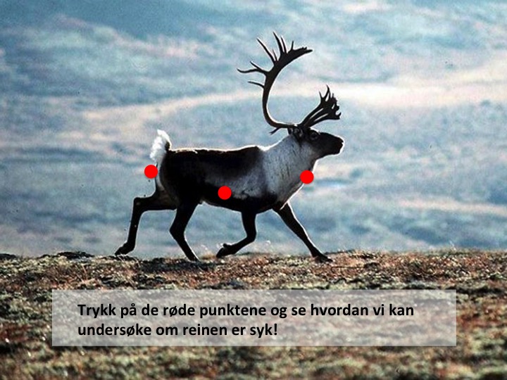 Smittedetektiven.jpg