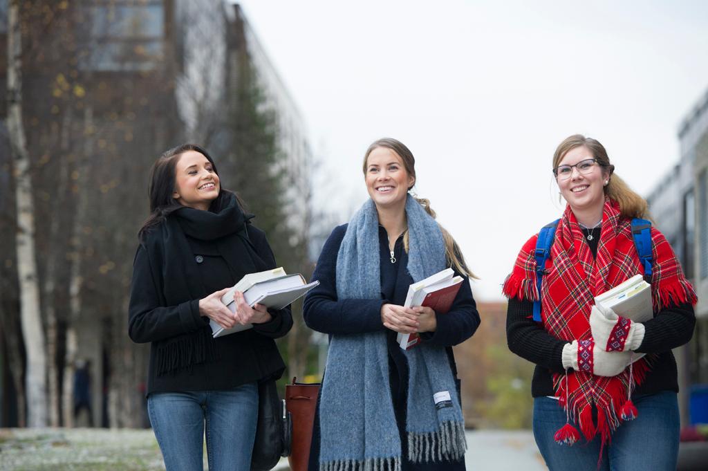 Bilde-Nordisk spr&aring;k og litteratur - bachelor