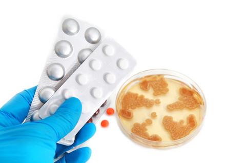 antibiotikakultur.jpg