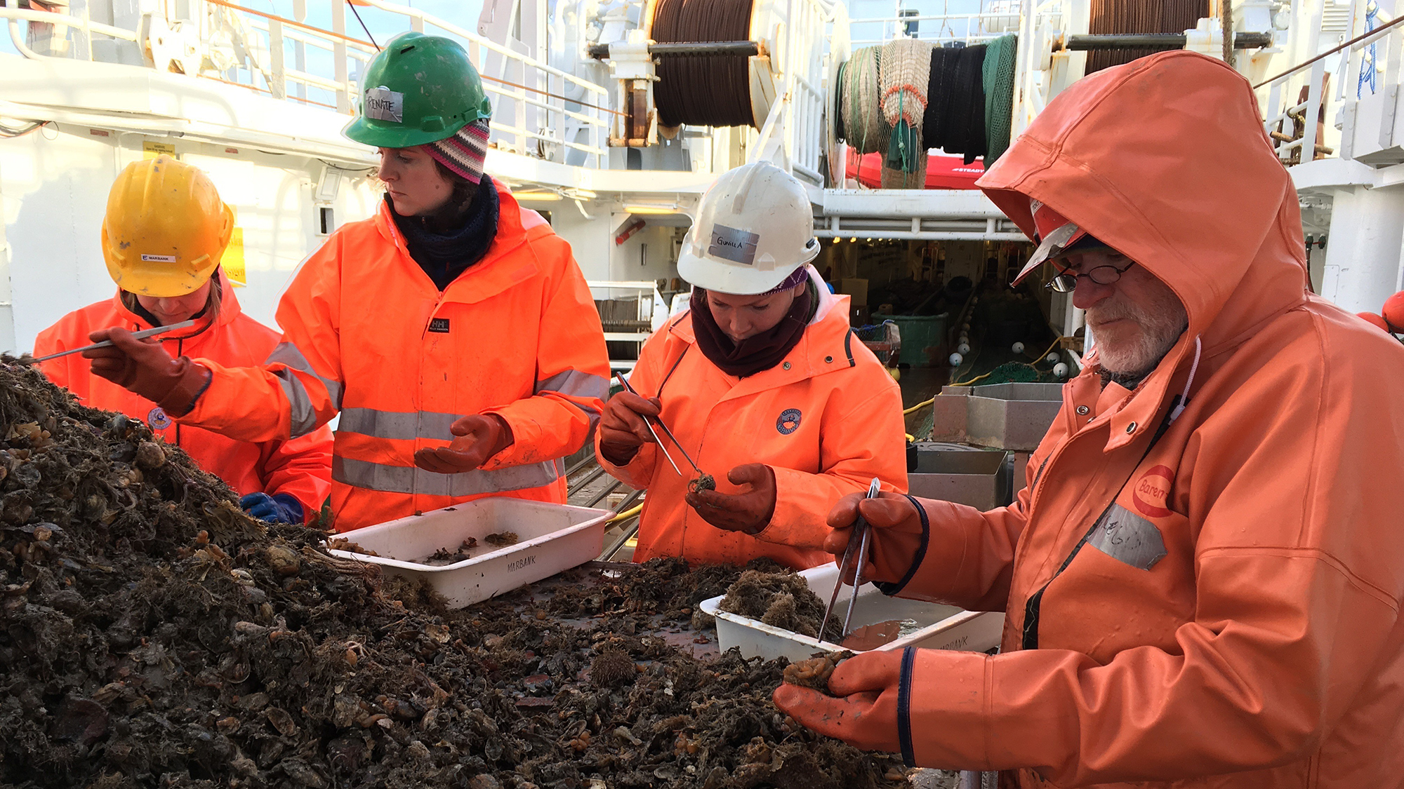 Store mengder biologisk materiale ble samlet opp fra havbunnen og sortert under et tokt ved Bj&oslash;rn&oslash;ya.
