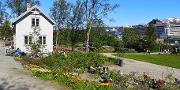 Thumbnail Tromsø arktisk-alpine botaniske hage