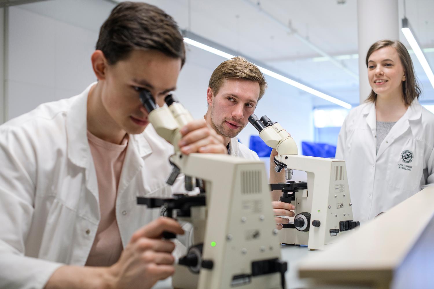 Bilde-Bioingeni&oslash;rfag - bachelor