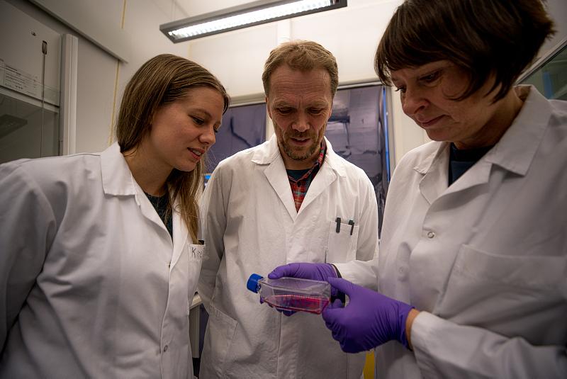 Kine_molekyl.jpg forskere på lab