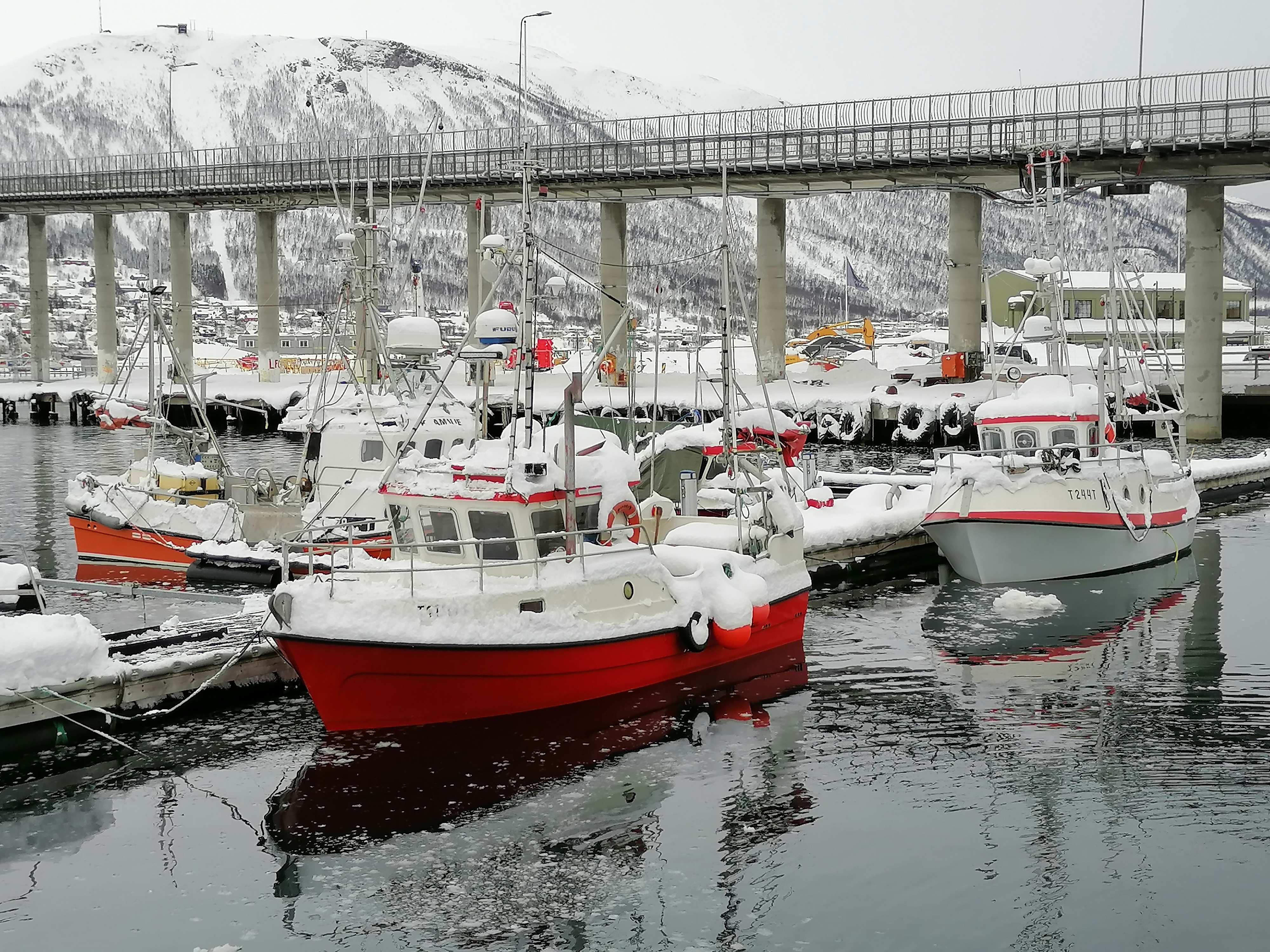 IMG_20200406_135954 boats harbour.jpg