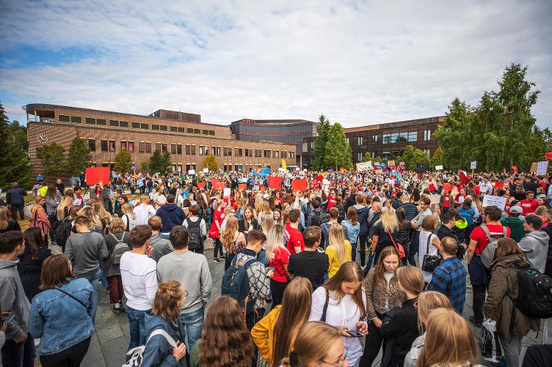 Studenter
