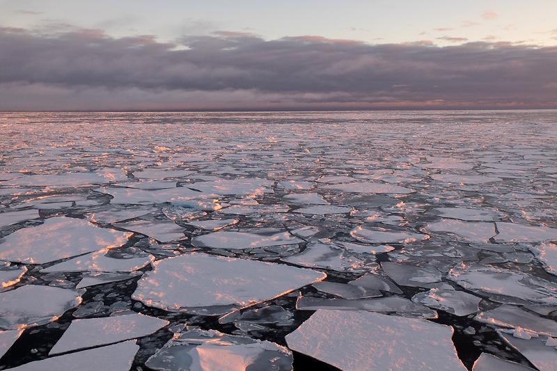 Havet fullt av sm&aring; isflak. Raud solnedgang i det fjerne.