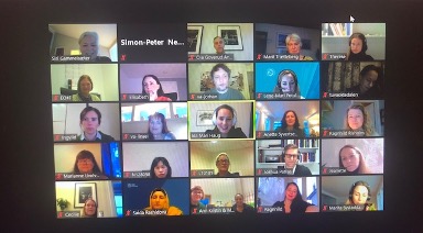 GL-meeting_Jan2021.jpg