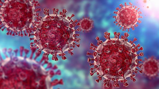 Covid virus