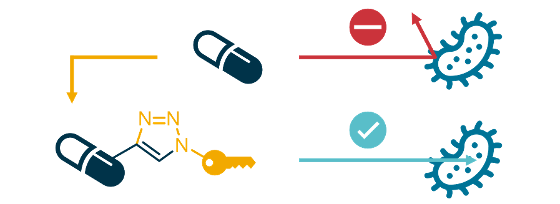 Antibiotic_conjugates_2.png Conjugation of antibiotics can lead to new derivatives with improved bacterial uptake.
