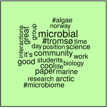 M2RG.wordcloud.png