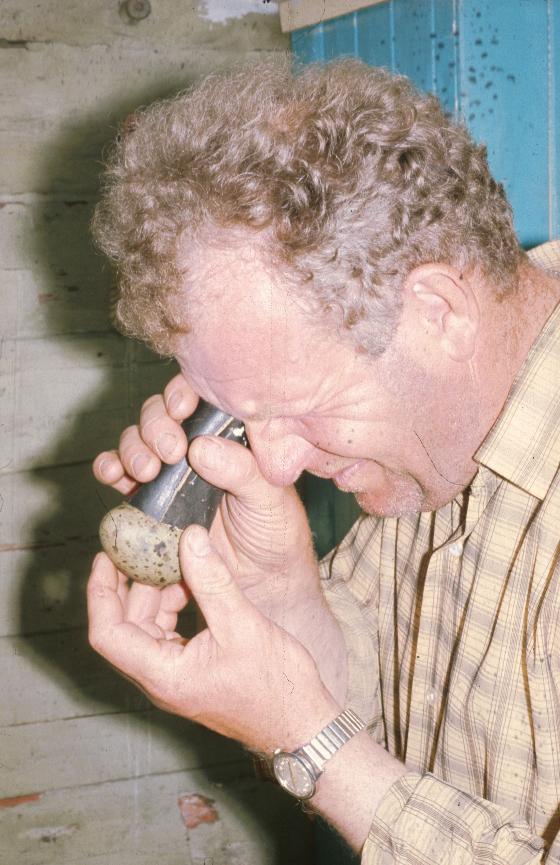 tsnd12007.jpg