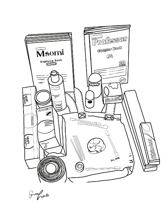 ECOCARE_Tanzania_blog.jpg