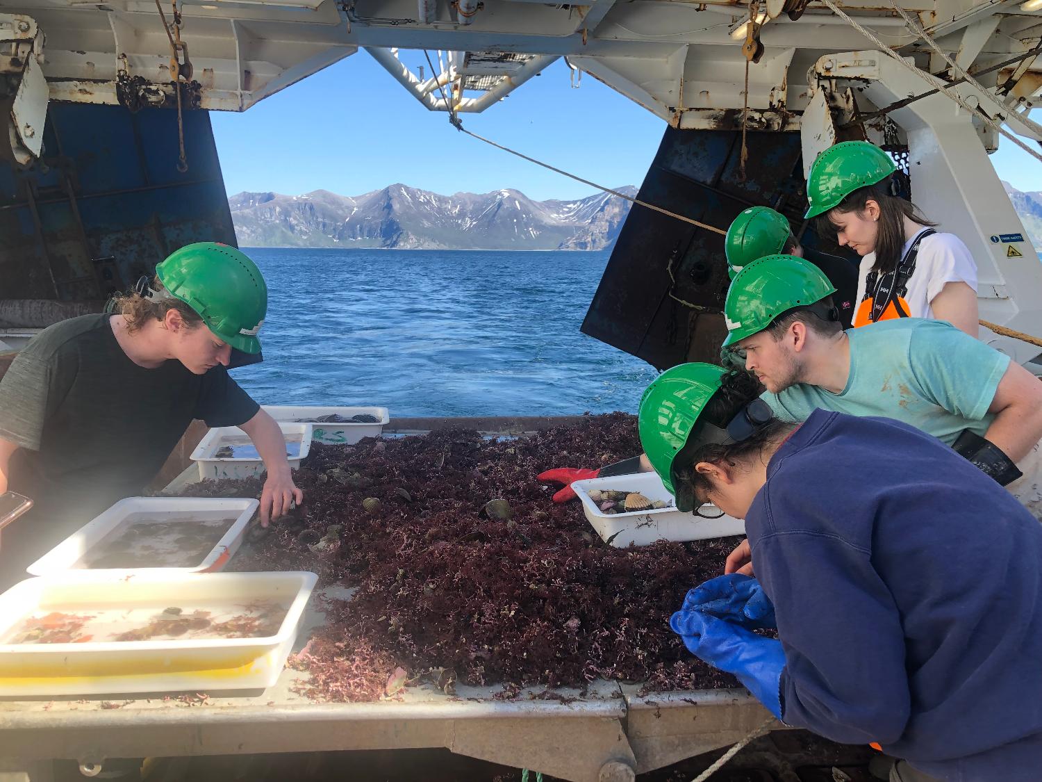 Bilde-Arctic Marine Ecology