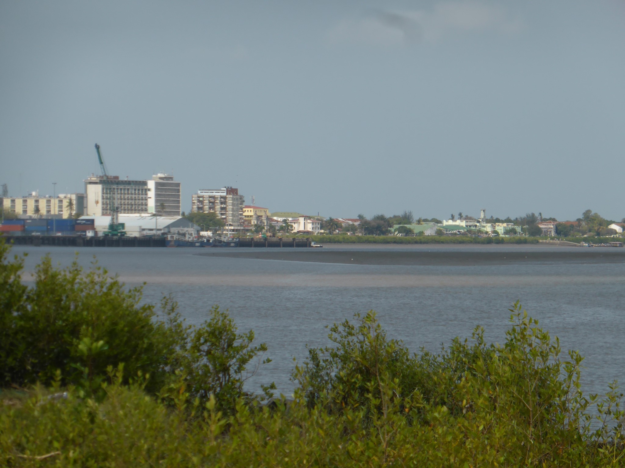 EstuarizeEA.jpg