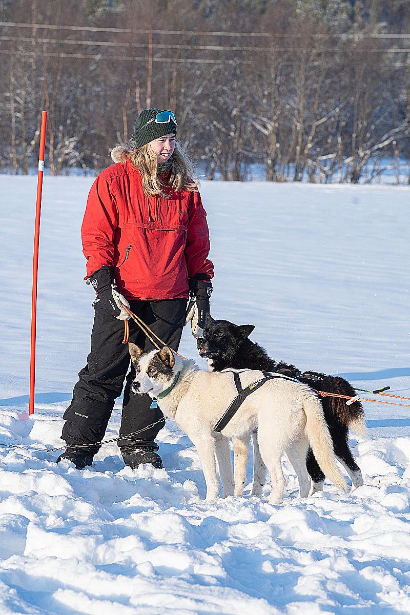 Hundekjøring_Holmen_Alta2023-28.jpg Oda Elise Frydenlund sammen med to hunder.