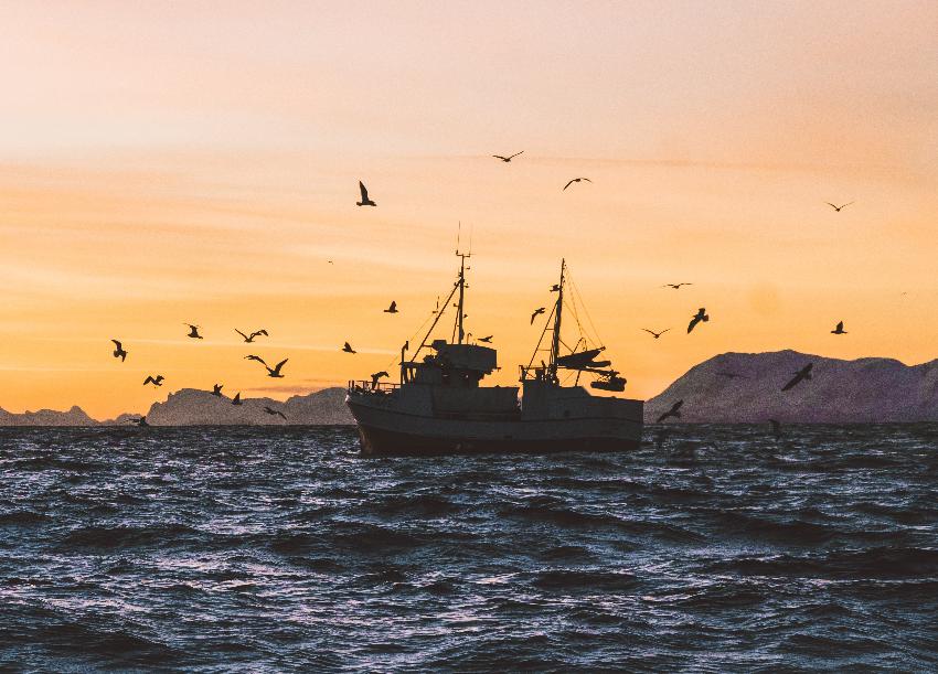 fiskeb&aring;t p&aring; havet i solnedgang 