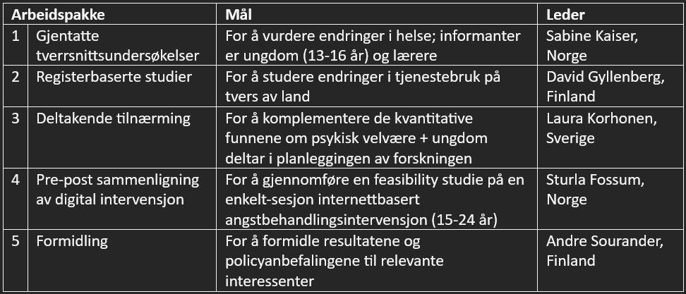 CrisesSolutionsTabellNorsk.png tabelloversikt over arbeidspakker