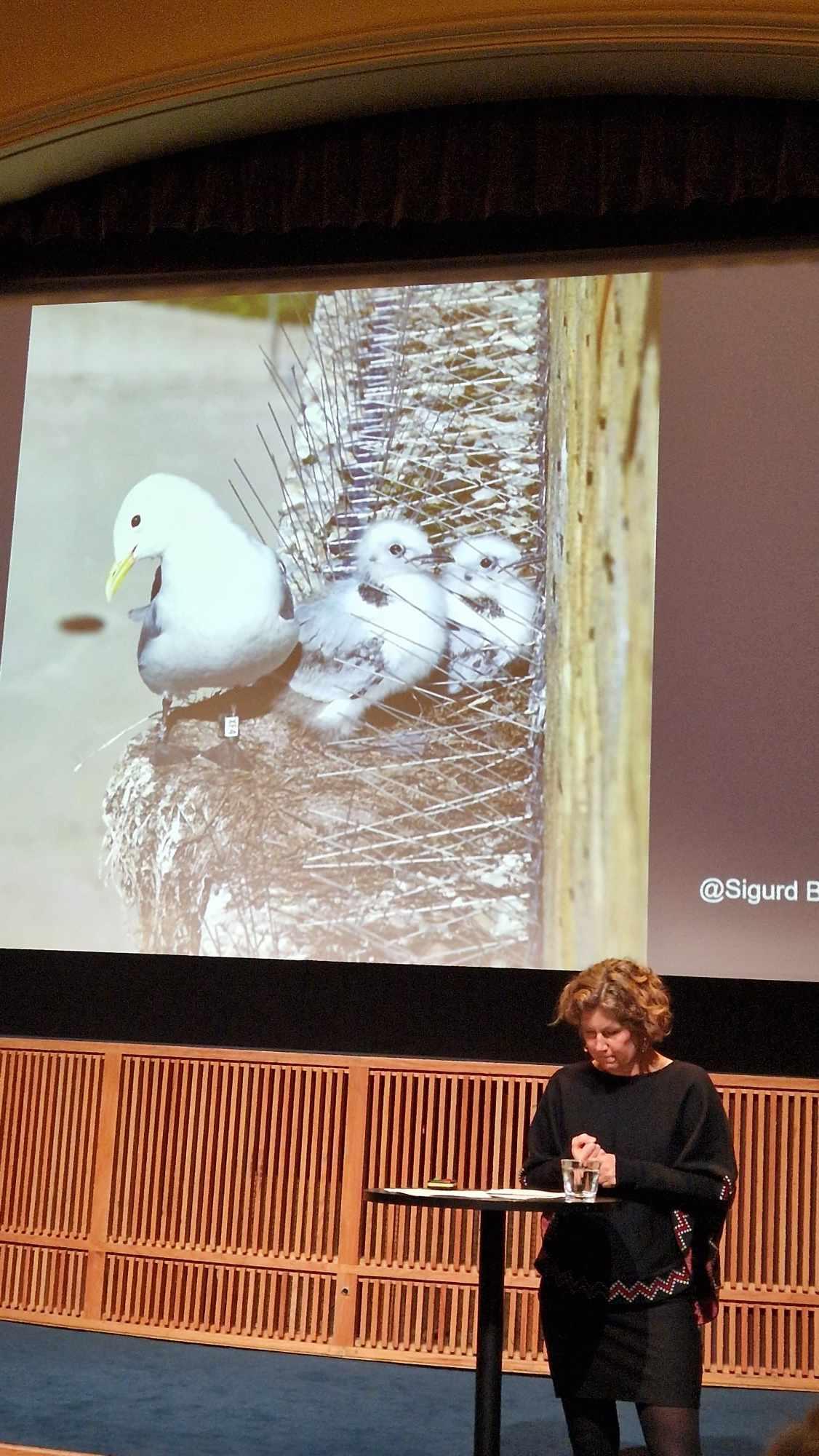 DELER KUNNSKAP: Forsker Anniken F&oslash;rde er en av forskerne i FUGLAN VEIT. De gir fuglene en stemme gjennom kunnskapsformidling. Her holder hun et innlegg p&aring; Planm&oslash;te for stedsutvikling. Foto: Jonas Bj&oslash;rklund. 