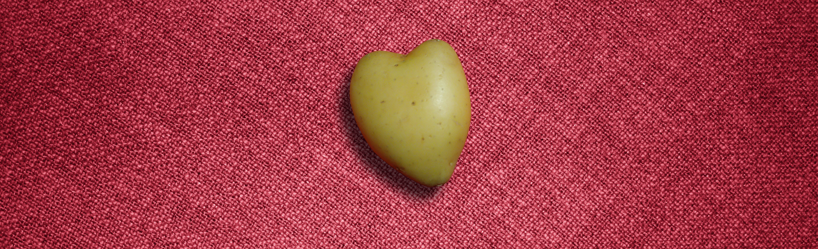 Potato_MT.png Potato