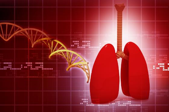 5463404-human-lungs-with-dna.jpg