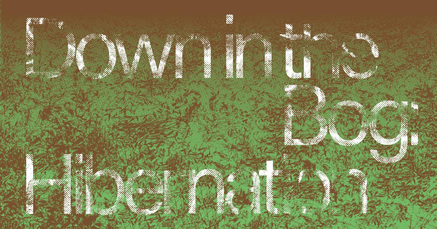 Illustrasjons-/bannerbilde for UiT Environmental humanities gathering #28 Guided tour of the exhibition Down in the Bog: Hibernation with curator Karolin Tampere