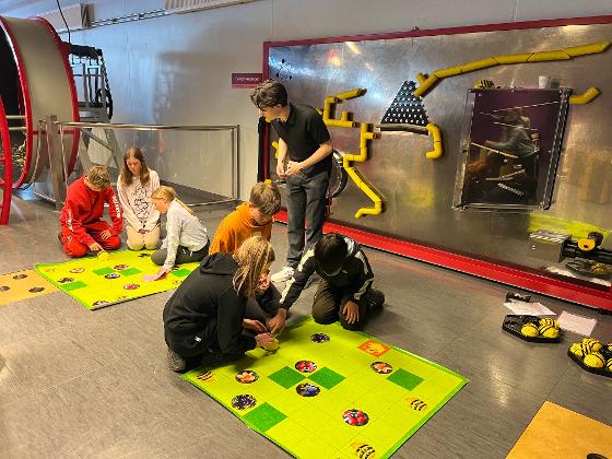 Illustrasjonsbilde 340 sjetteklassinger samlet til matematikkleker: – En slager!