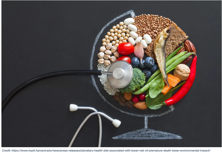Planetary diet.png