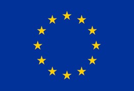 Eu flag.jpg