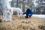 Bilde &ndash; Viktige rettesnorer for b&aelig;rekraftig forvaltning 872724