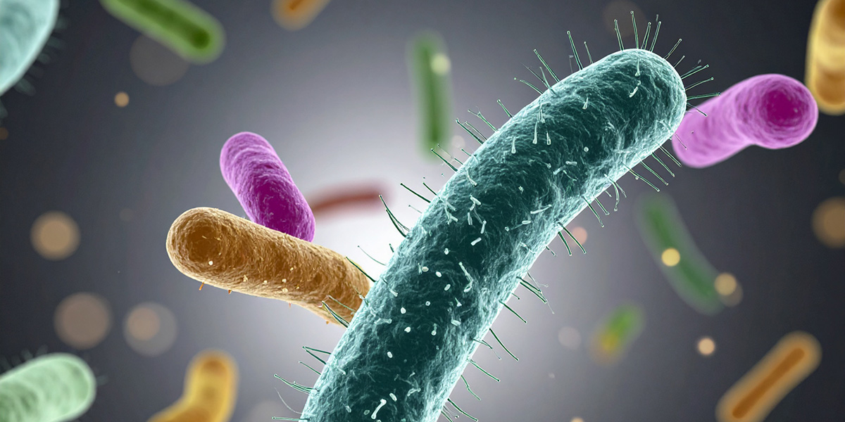 Firefly_bilde med flere typer bakterier. bakteriene har ulike farger og ulike former. 185893_1200px_1x2.jpg Microbiome