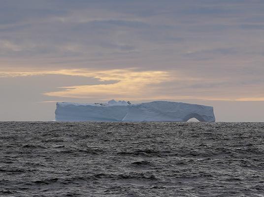 Iceberg