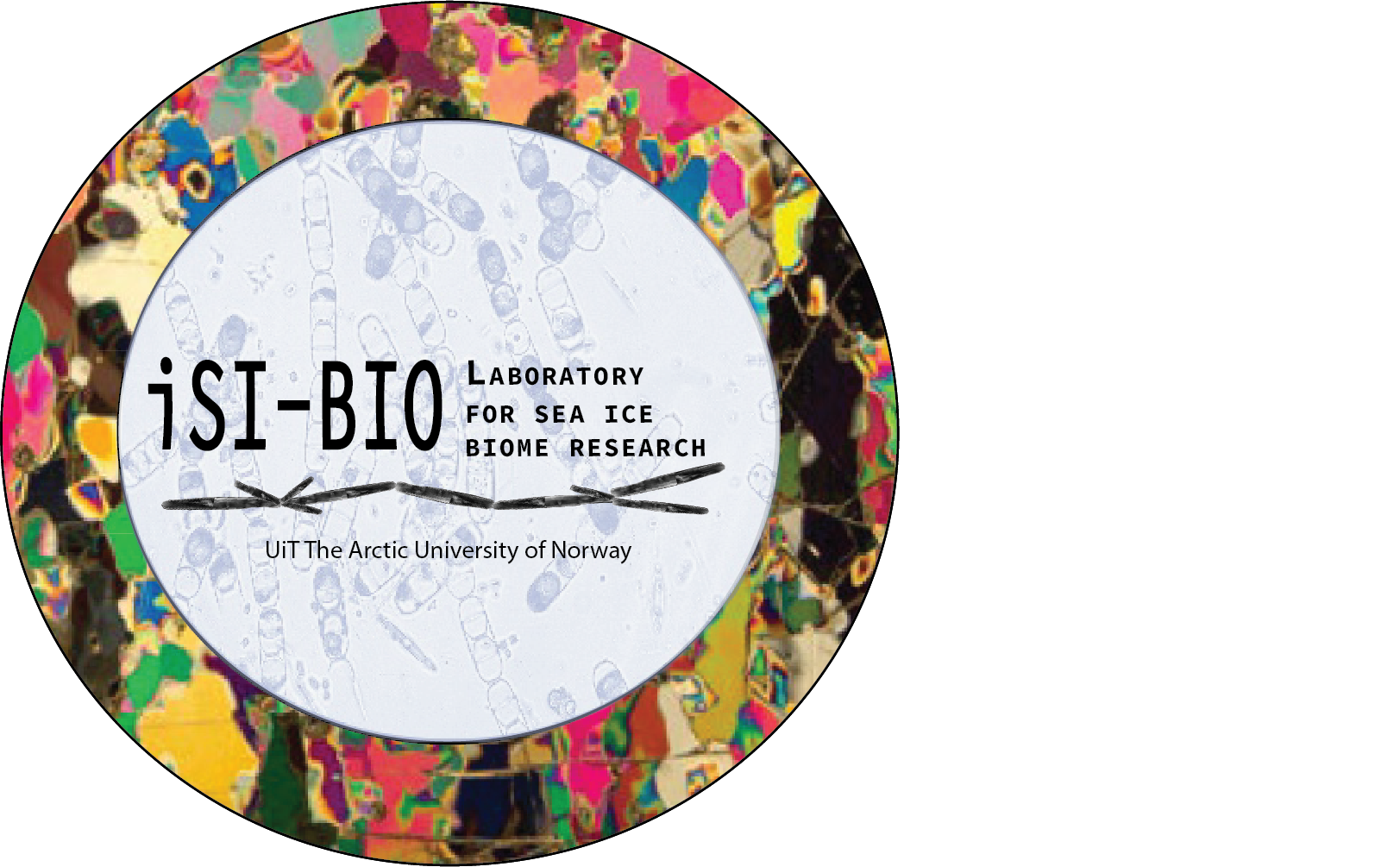 iSIBIO_Final_Logo.png