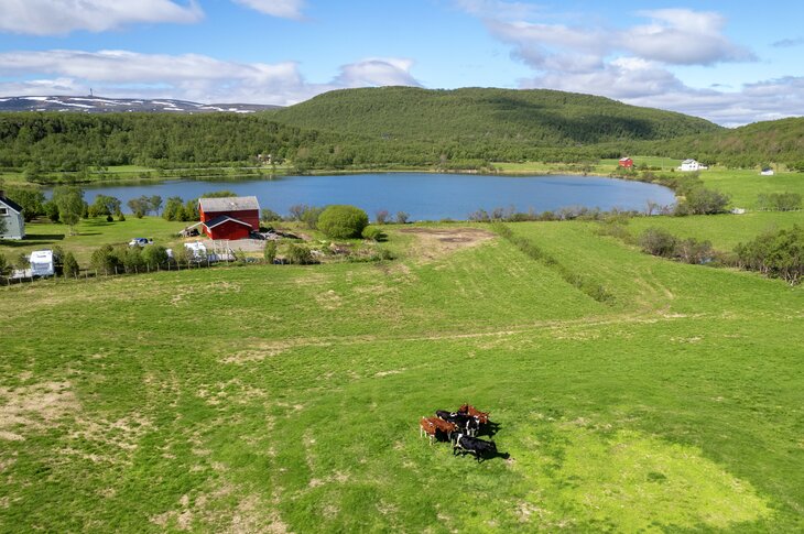 dronebilde_Pasvik_Statsforvalteren_Jan Harald Tomassen.jpeg Gårdsbruk i Sør-Varanger