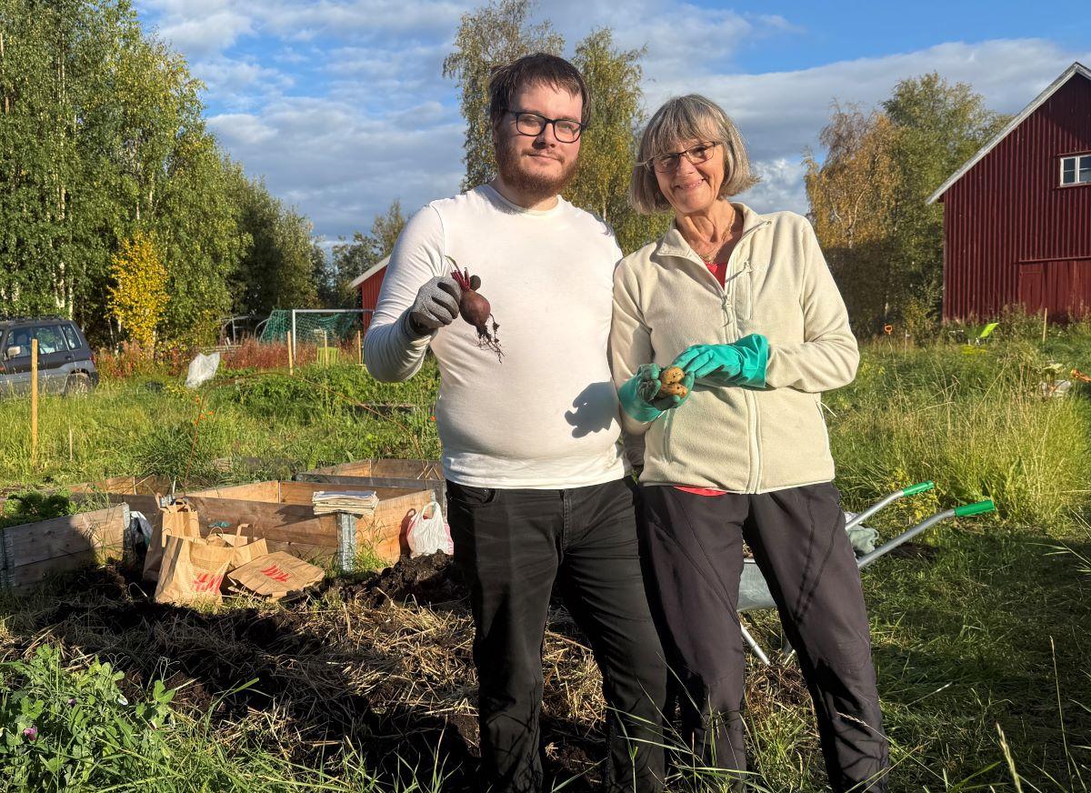 Bilde til nyhetssak