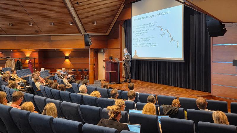 Presentasjon fra trygderettskonferansen