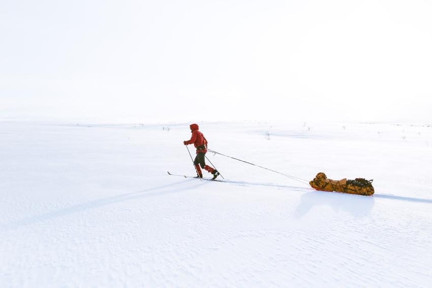 Skig&aring;er p&aring; Finnmarksvidda. 