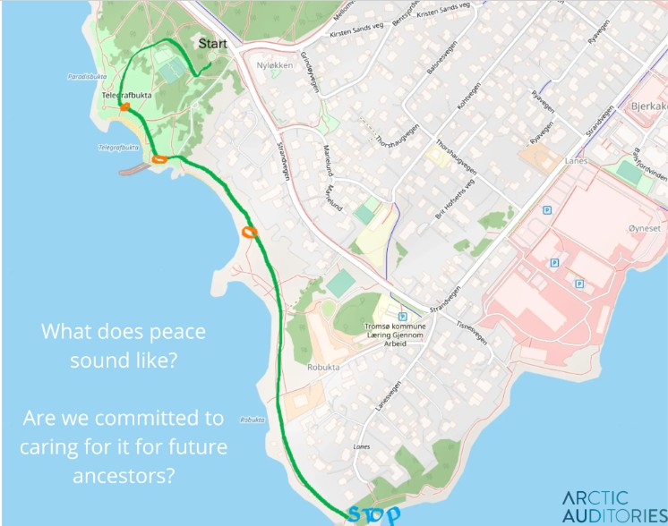 Walk_Peace, Sound and the Resonance of History .jpg
