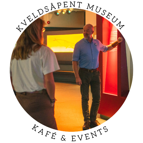 Illustrasjonsbilde for Canceled: Free guided tour at night: highlights at the Arctic University Museum
